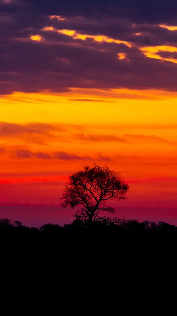 Maravilha natural no cora&ccedil;&atilde;o da Am&eacute;rica do Sul