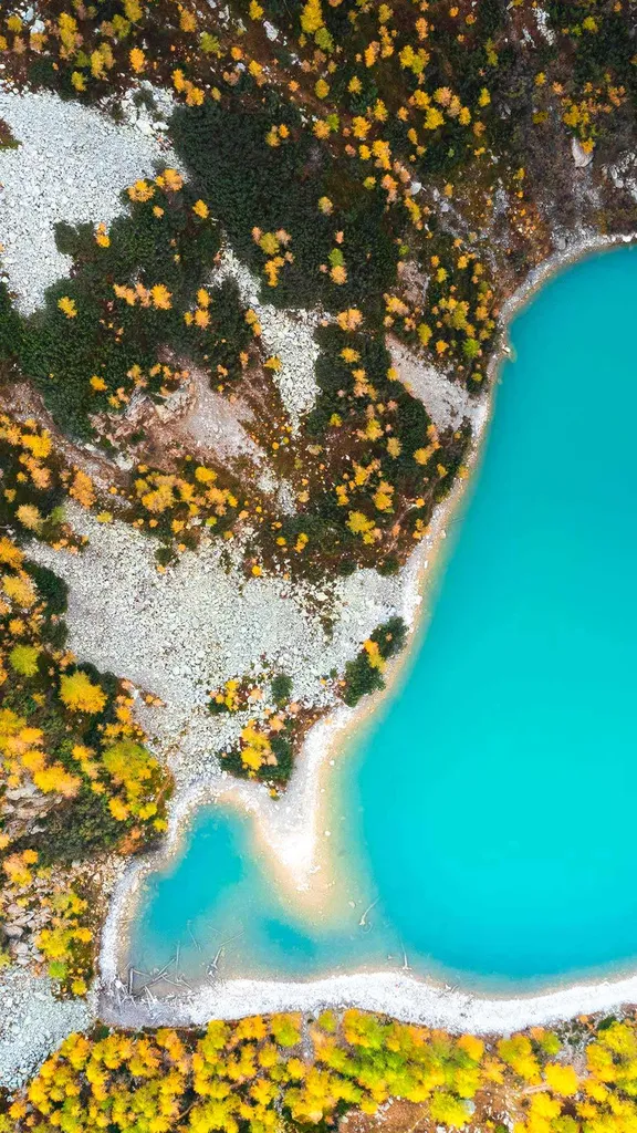 Oro e Natura
