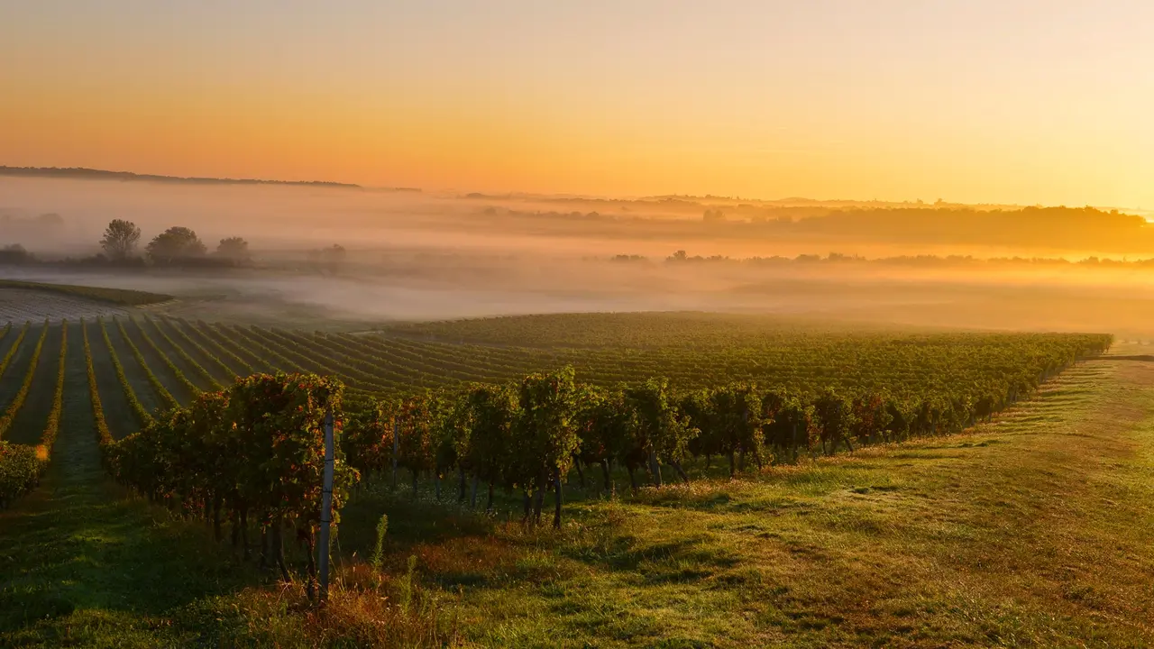 Wo Geschichte, Natur, Sport und Wein aufeinandertreffen