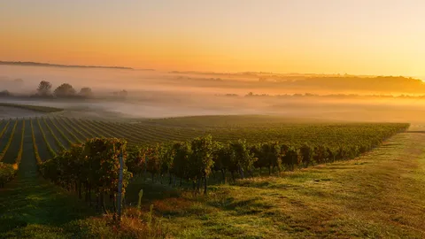 Wo Geschichte, Natur, Sport und Wein aufeinandertreffen