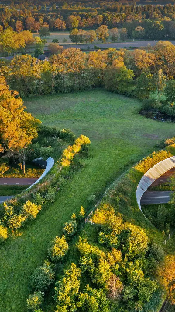 谁在使用这座绿草如茵的桥？