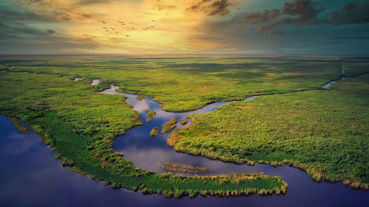 A river of grass
