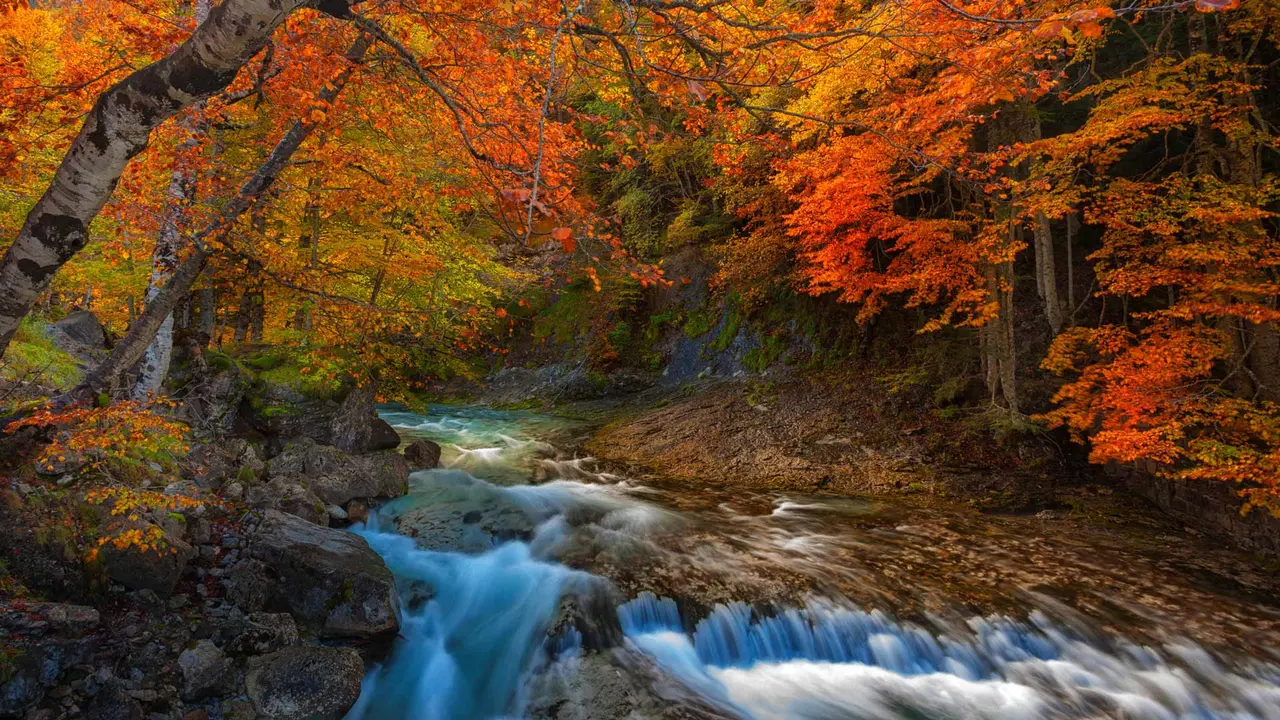 Oto&ntilde;o entrante, lluvias abundantes