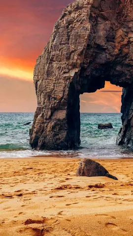 Faites sauter les cr&ecirc;pes !