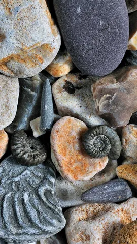 Desenterrando el pasado