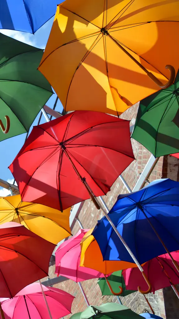 Regenschirme, soweit das Auge reicht