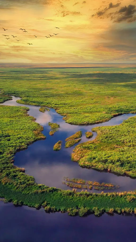 A river of grass