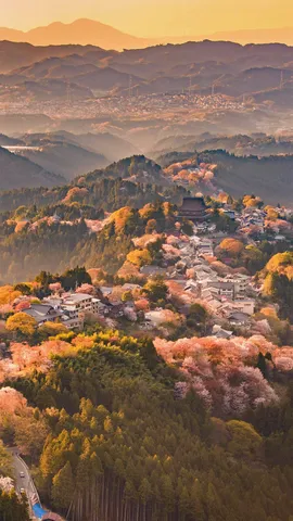今日は清明