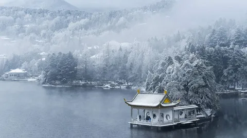 冬天来了