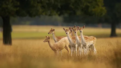 Natur mit Noblesse