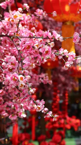 春节快乐，兔年大吉！