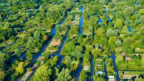 Une immersion sauvage au c&oelig;ur de la cit&eacute; !