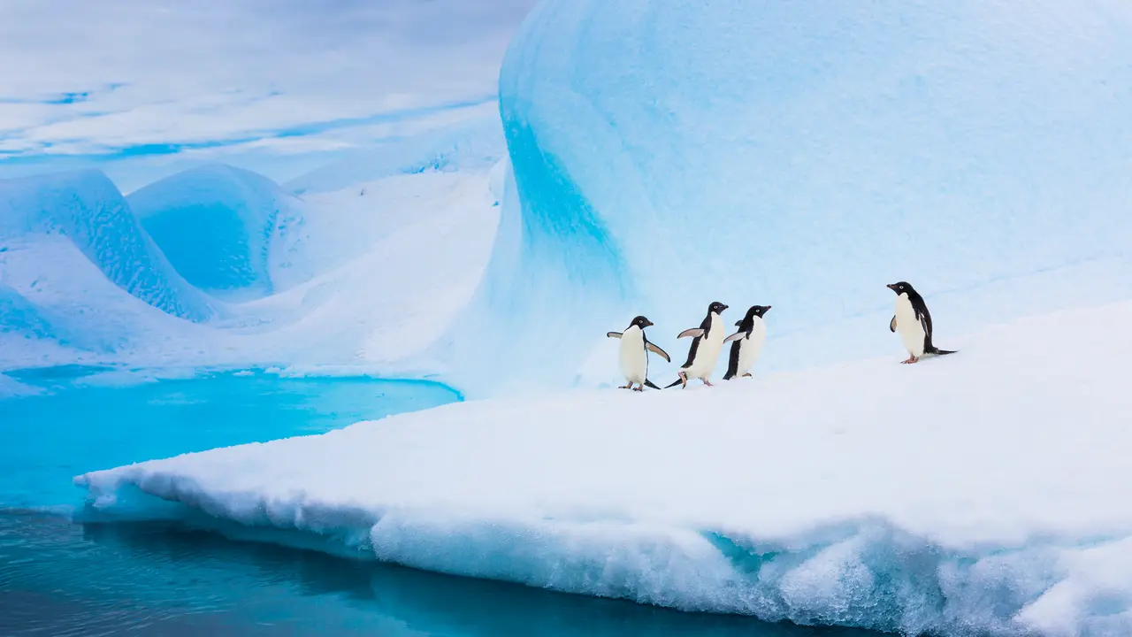 It's ice to meet you all here!