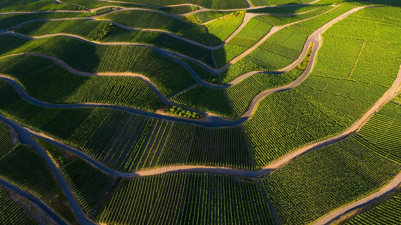 'Riesling' to perfection