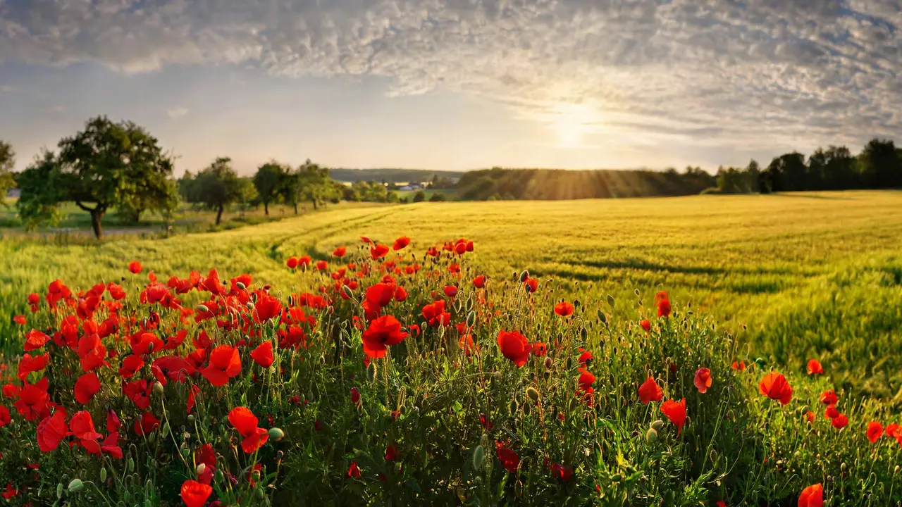 Bayerische Idylle