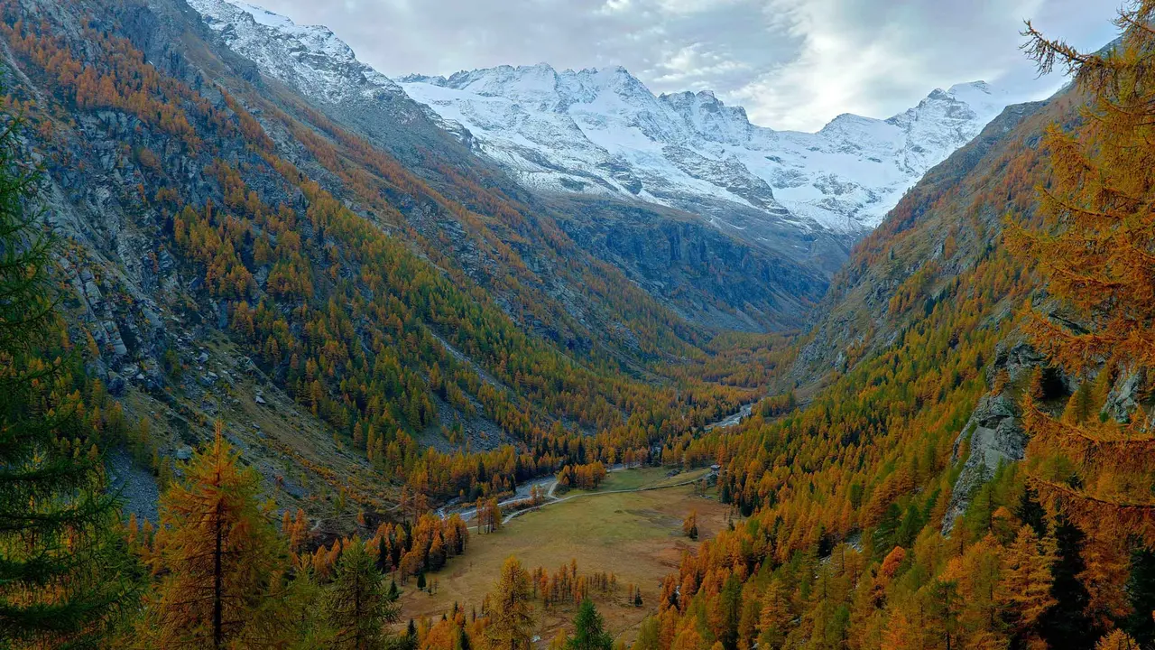 Dove il vento sussurra segreti d&rsquo;autunno