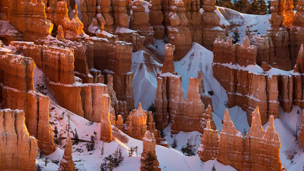 Guardians of the canyon