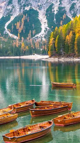Pronti a salpare?