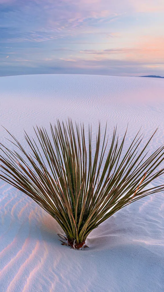 A desert in disguise