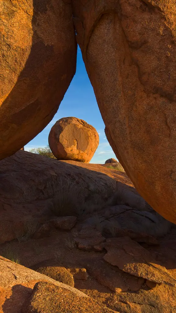 El equilibrio de la naturaleza