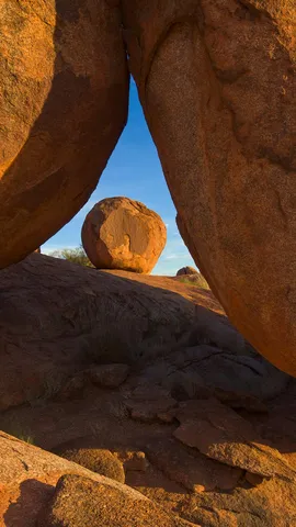 Il gioco di equilibri della natura