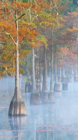 Standing tall in fall
