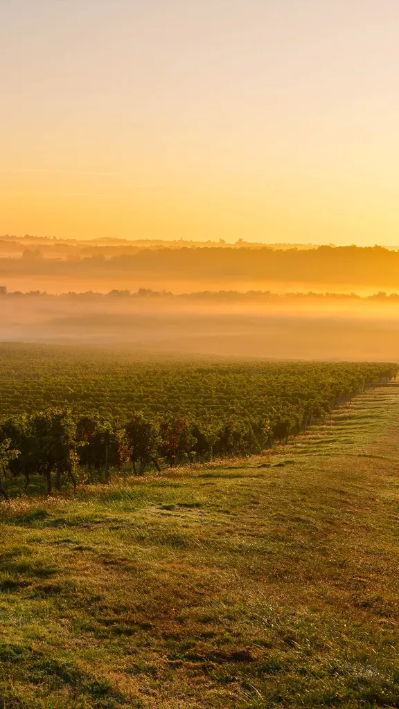 Wo Geschichte, Natur, Sport und Wein aufeinandertreffen