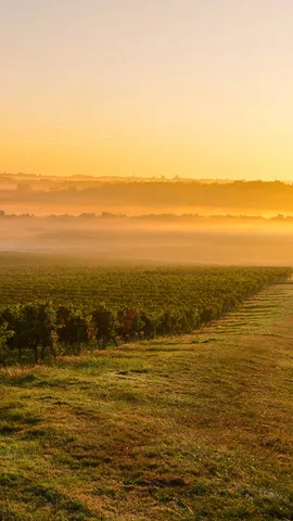 Wo Geschichte, Natur, Sport und Wein aufeinandertreffen