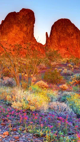 Colores vivos en tierra &aacute;rida