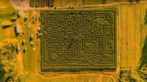 &iexcl;Un puzzle enorme!