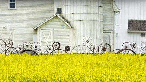 Make hay while the sun shines