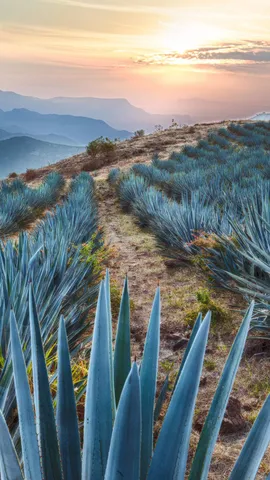 钴蓝海洋与火山之土
