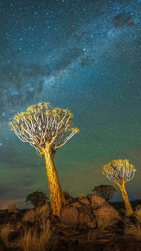 Il verde, il cielo e l'Universo intero
