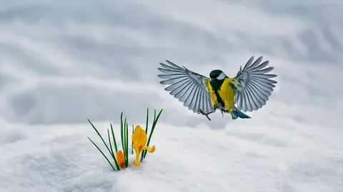 春天醒来了