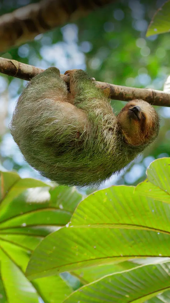 Ciao a tutti, dal mondo a testa in gi&ugrave;!