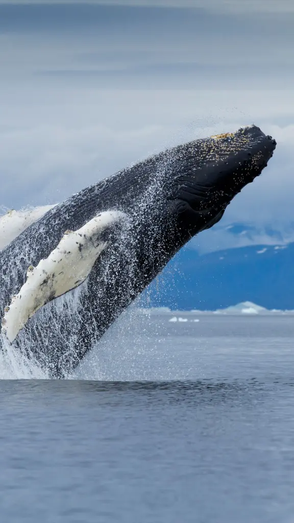 Jumping off the endangered list