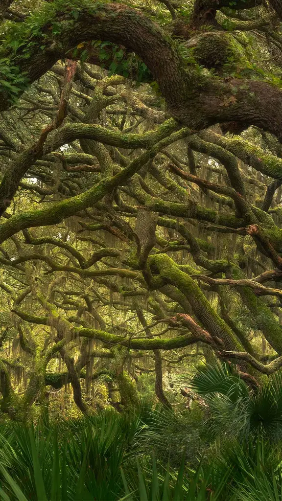 Verwobene Natur