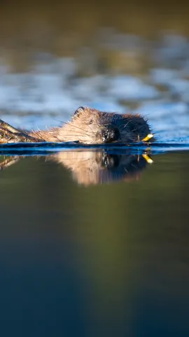 Look, I'm a branch manager!