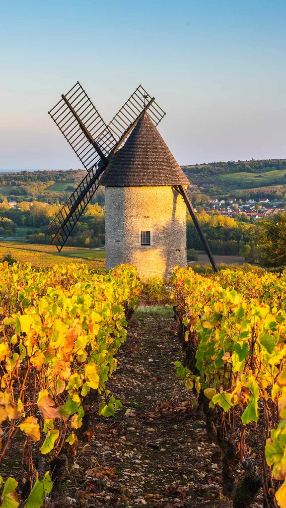 Sorine Windmill And Vineyards Santenay Wine Region C te De Beaune sorine-windmill-and-vineyards-santenay-wine-region-c-te-de-beaune
