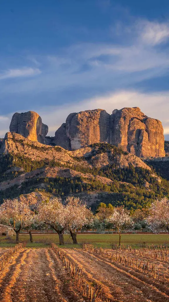 Neue Horizonte entdecken