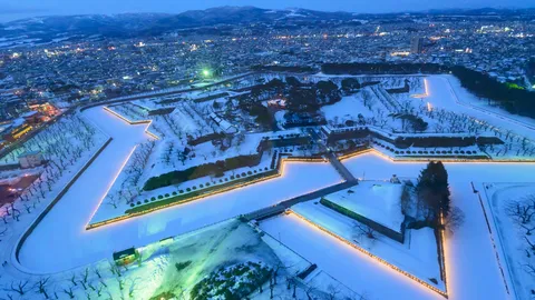 今日は大雪
