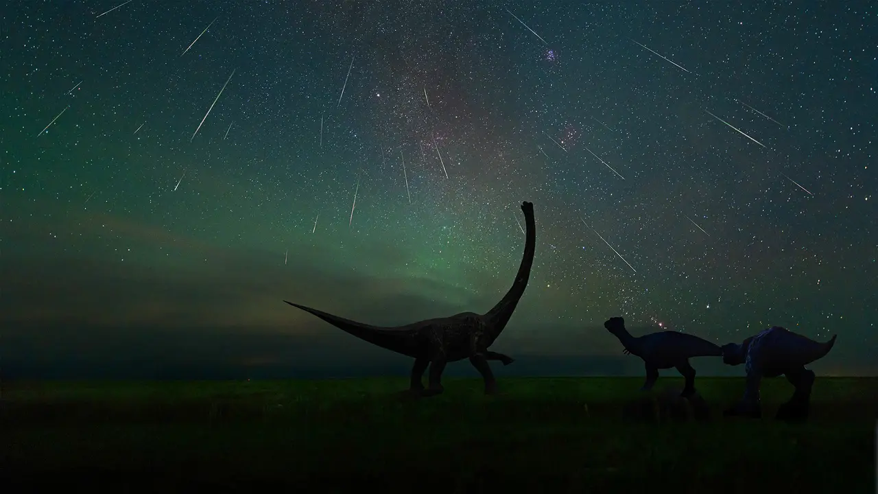 拍摄于二连浩特恐龙博物馆中的英仙座流星雨，中国内蒙古