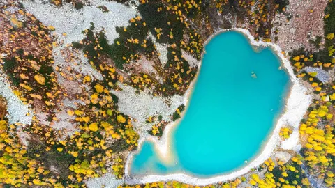 Oro e Natura