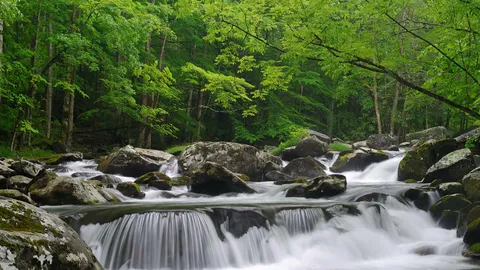 Ein Fluss, der Geschichten erz&auml;hlt