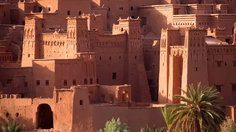 Les gardiens des dunes