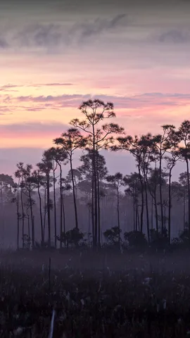 El poder de la naturaleza