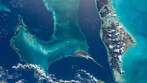 Um mergulho no mar azul profundo
