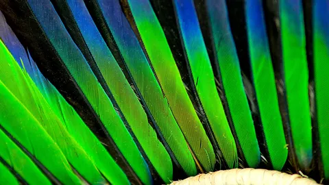 Uma linguagem que n&atilde;o pede tradu&ccedil;&atilde;o