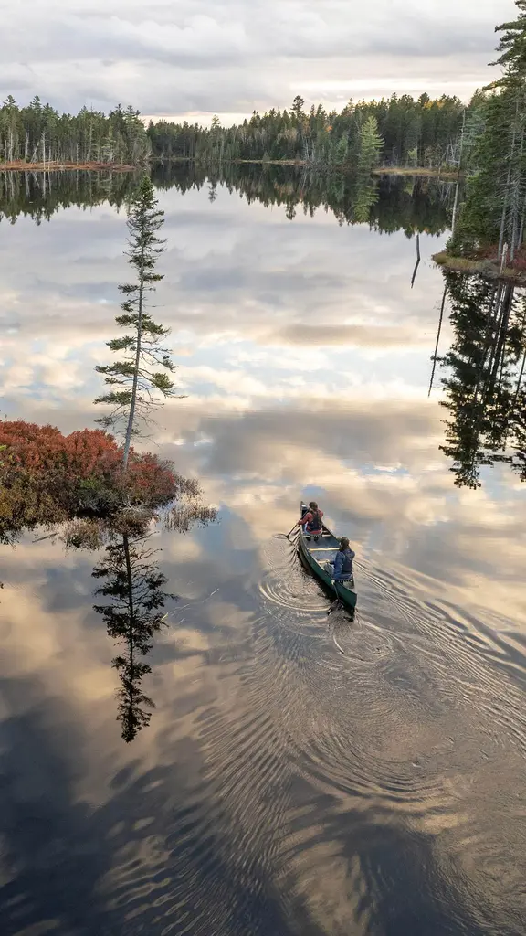 Bosques y aguas