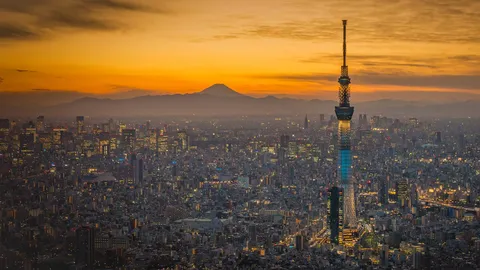 スカイツリー開業から 12 年